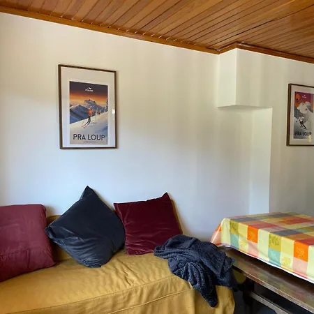 Avec Terrasse Vue Sur Piste A Praloup Apartment